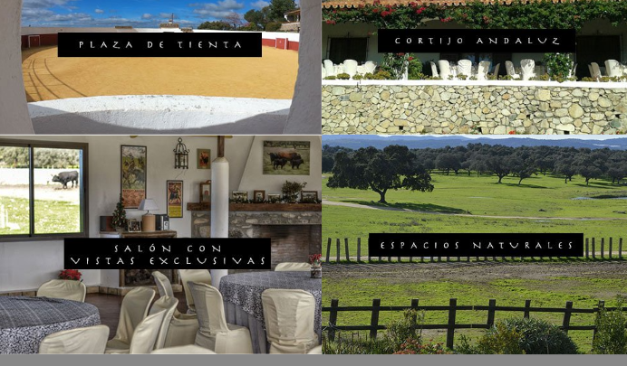 Espacios únicos en La Capitana: tradición, naturaleza y exclusividad en Sevilla