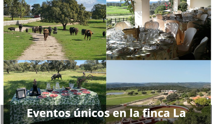 Eventos especiales en la Sierra Norte de Sevilla