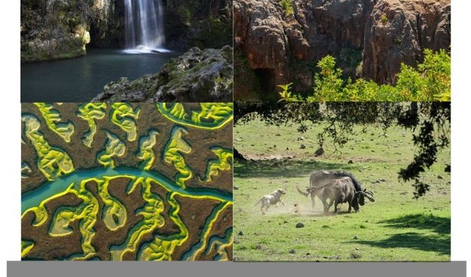 Naturaleza en Sevilla: maravillas ocultas que fascinan a todo visitante