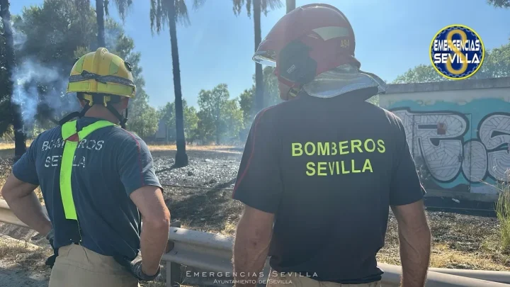 Tercer incendio en una semana en la Cartuja, Sevilla