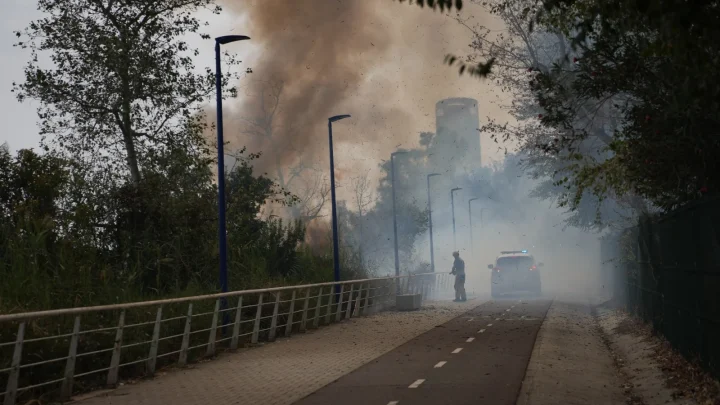 Nuevo incendio en Sevilla junto al Auditorio Rocío Jurado