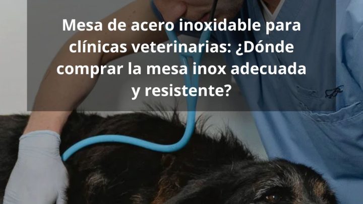 Mesa de acero inoxidable para clínicas veterinarias: ¿Dónde comprar la mesa inox adecuada y resistente?