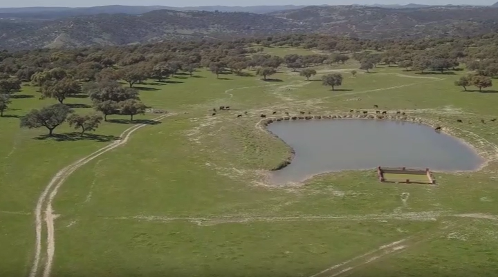 Puente del Pilar ha impulsado las reservas rurales en Sevilla hasta el 45%