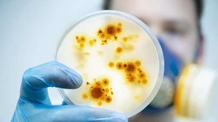 Superbacterias: la amenaza sanitaria que ya supera a los accidentes de tráfico. Una crisis silenciosa que avanza sin freno.