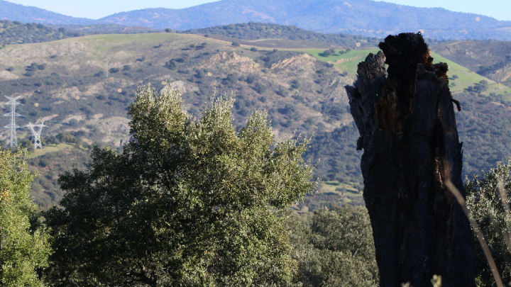 La Traviesa: Descubre el sendero que une naturaleza, historia y aventura en Sevilla