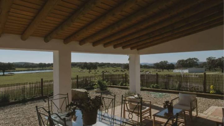Dormir en una ganaderia de toros bravos en Sevilla