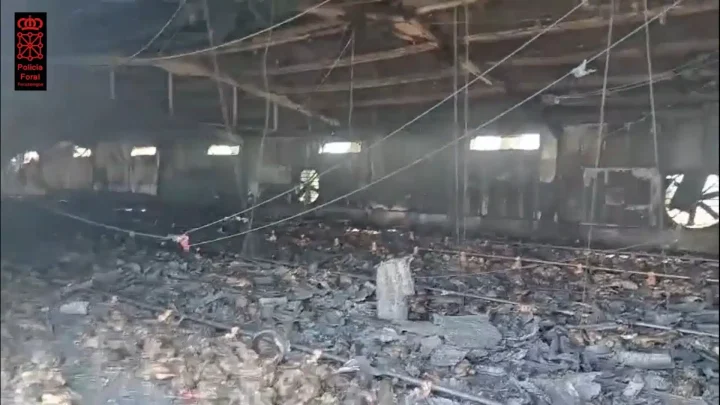 Las llamas reducen a cenizas una granja de Villafranca y provocan la pérdida de 10.000 pollos. Cronología y alcance del suceso.